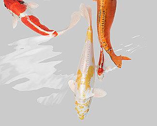 《巫师3》次世代版在XSS上不支持光追 有60帧模式